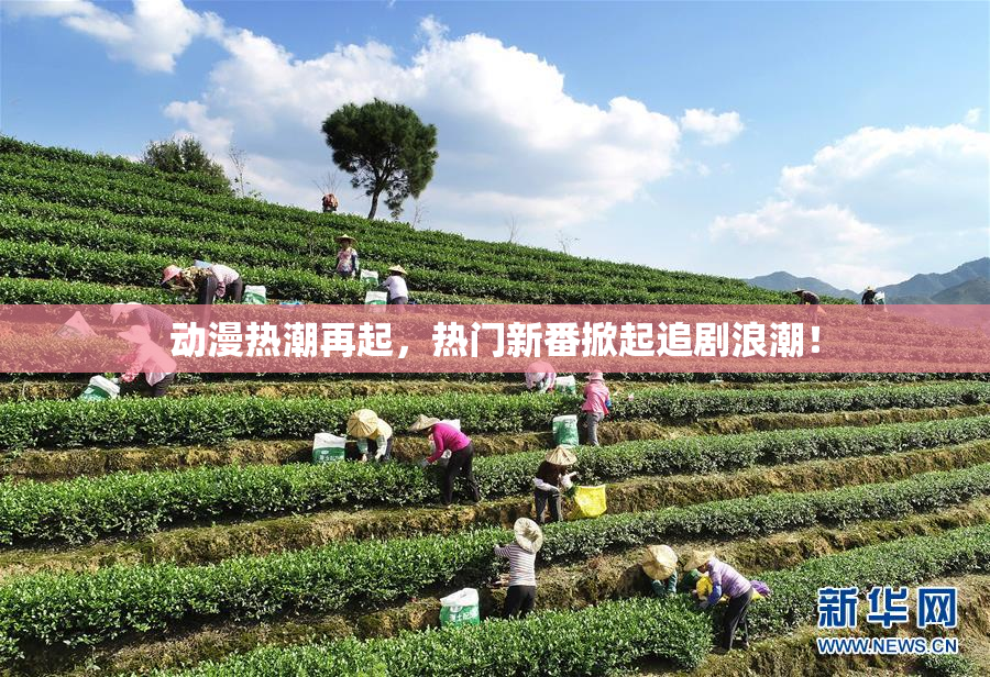 动漫热潮再起，热门新番掀起追剧浪潮！