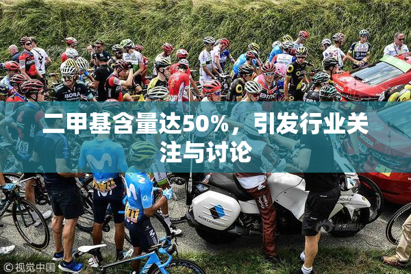 二甲基含量达50%，引发行业关注与讨论