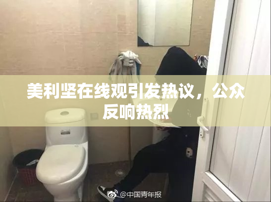 美利坚在线观引发热议，公众反响热烈