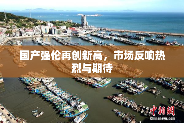 国产强伦再创新高，市场反响热烈与期待