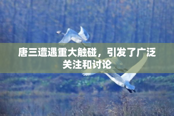 唐三遭遇重大触碰，引发了广泛关注和讨论