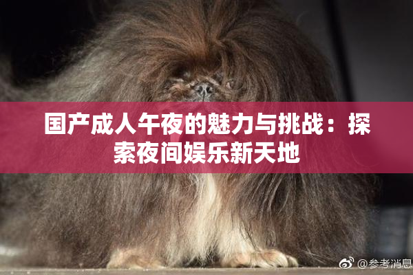国产成人午夜的魅力与挑战：探索夜间娱乐新天地