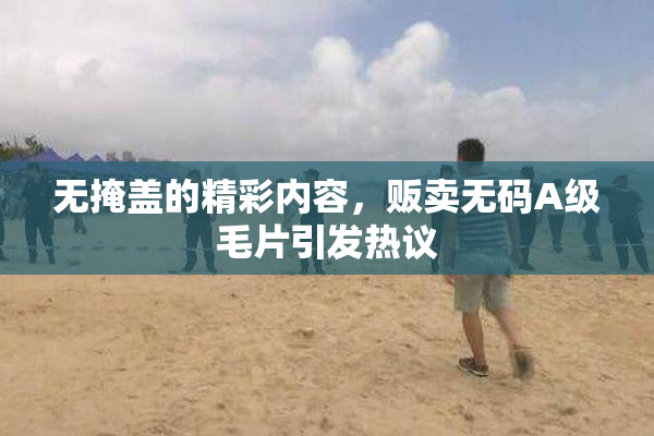 无掩盖的精彩内容，贩卖无码A级毛片引发热议