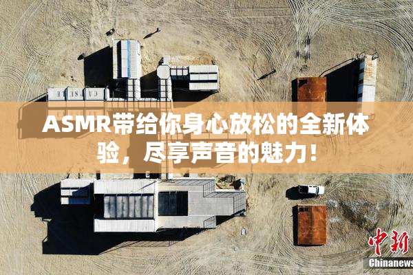 ASMR带给你身心放松的全新体验，尽享声音的魅力！