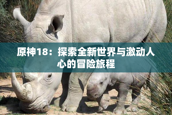 原神18：探索全新世界与激动人心的冒险旅程
