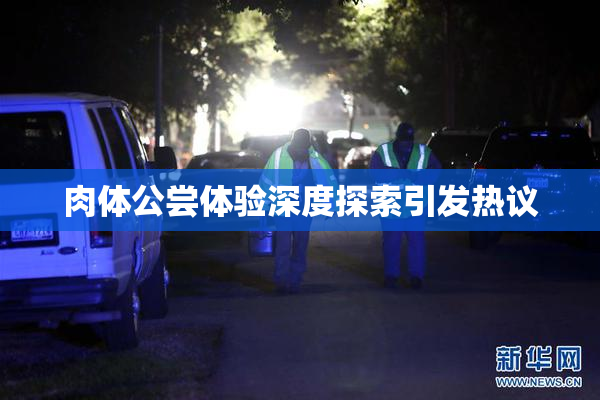 肉体公尝体验深度探索引发热议