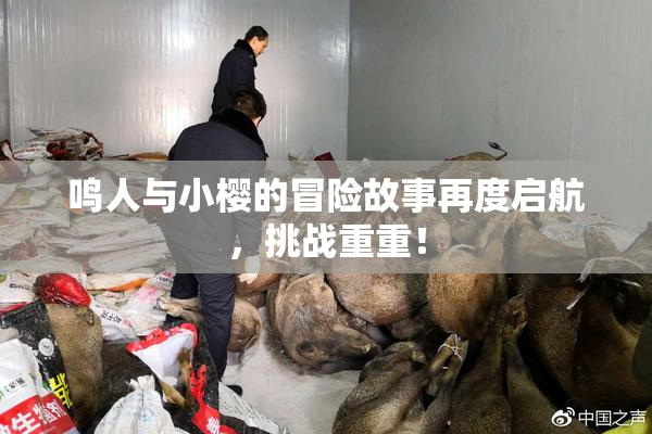 鸣人与小樱的冒险故事再度启航，挑战重重！