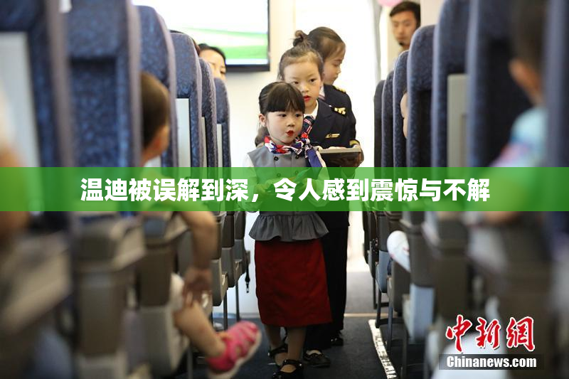 温迪被误解到深，令人感到震惊与不解