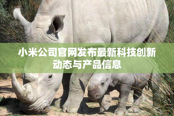 小米公司官网发布最新科技创新动态与产品信息