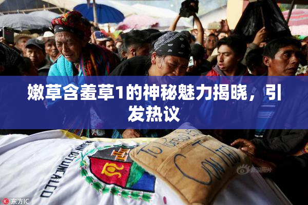 嫩草含羞草1的神秘魅力揭晓，引发热议