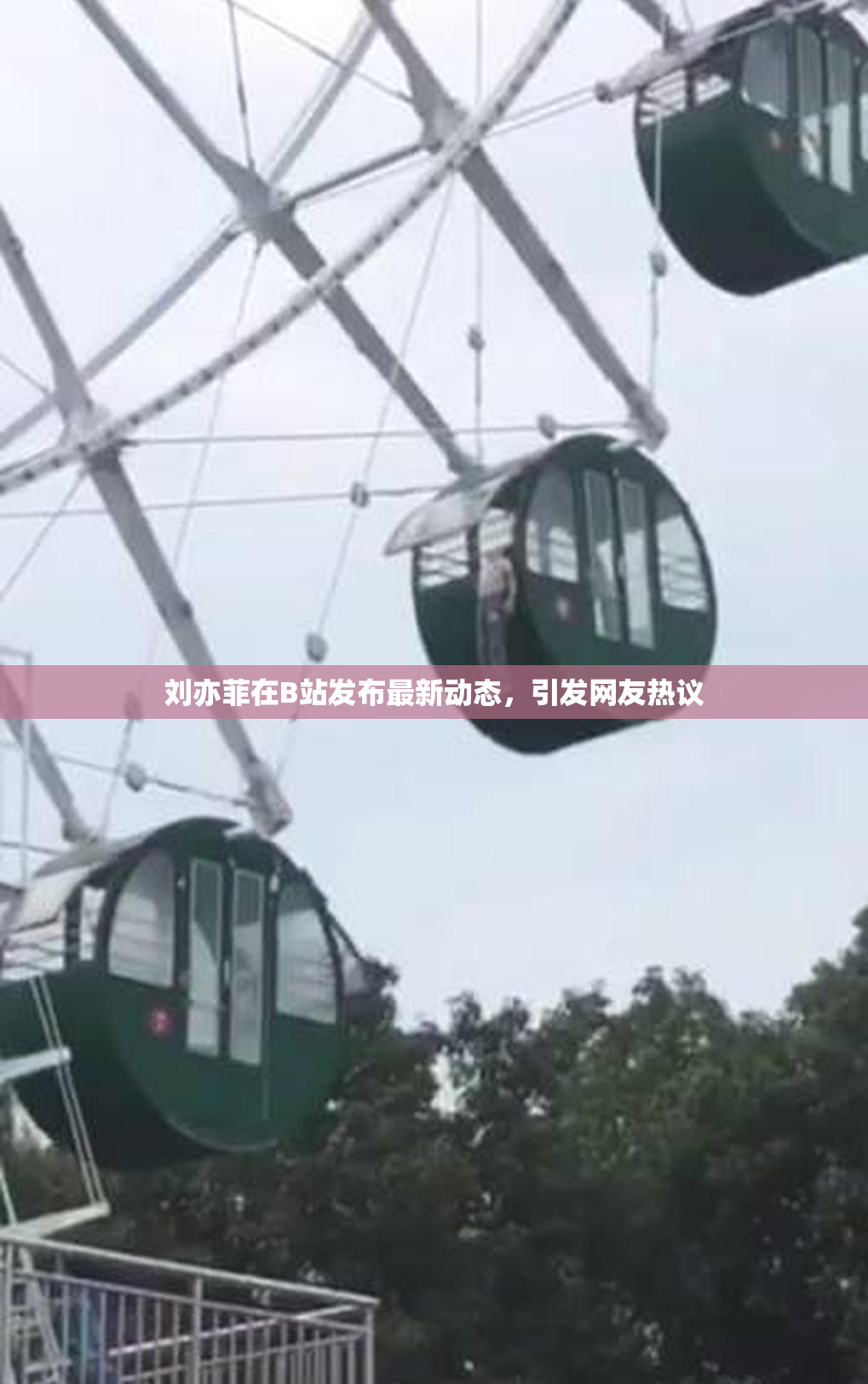 刘亦菲在B站发布最新动态，引发网友热议