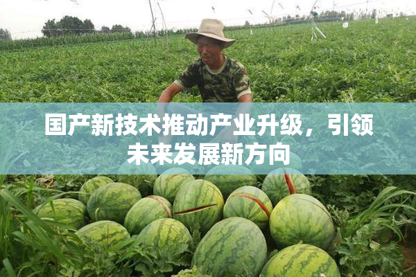 国产新技术推动产业升级，引领未来发展新方向