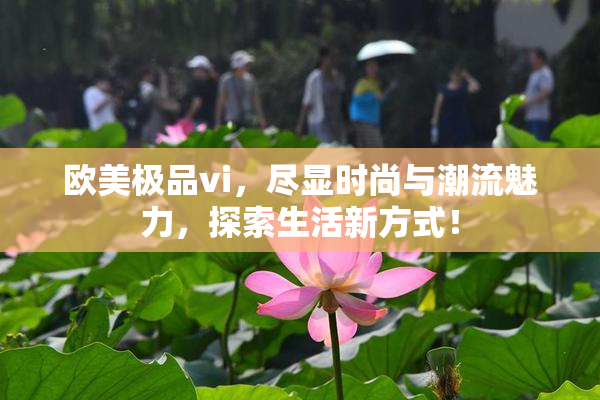 欧美极品vi，尽显时尚与潮流魅力，探索生活新方式！