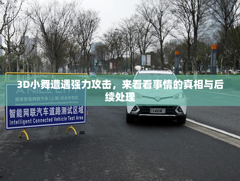 3D小舞遭遇强力攻击，来看看事情的真相与后续处理