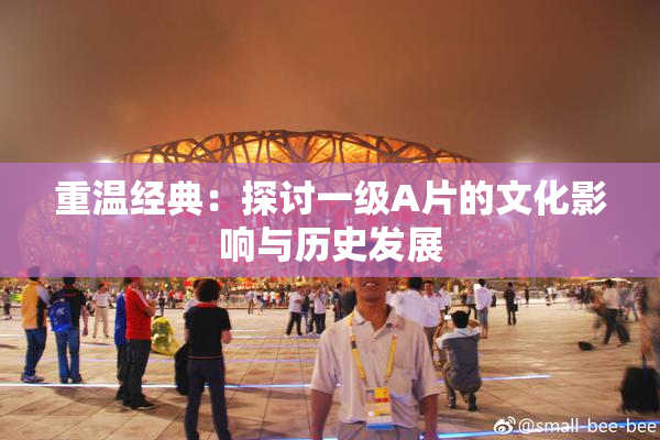 重温经典：探讨一级A片的文化影响与历史发展