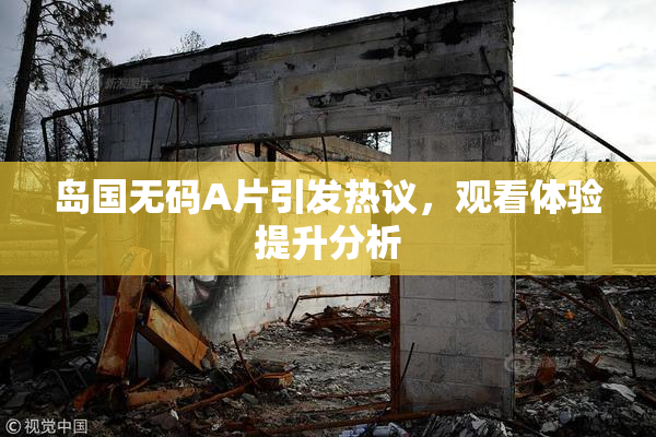 岛国无码A片引发热议，观看体验提升分析
