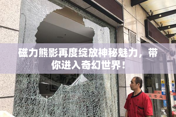 磁力熊影再度绽放神秘魅力，带你进入奇幻世界！