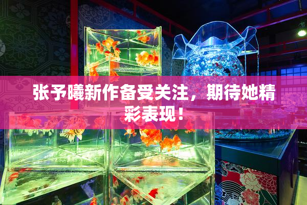 张予曦新作备受关注，期待她精彩表现！