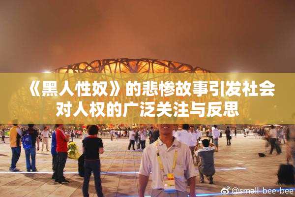 《黑人性奴》的悲惨故事引发社会对人权的广泛关注与反思