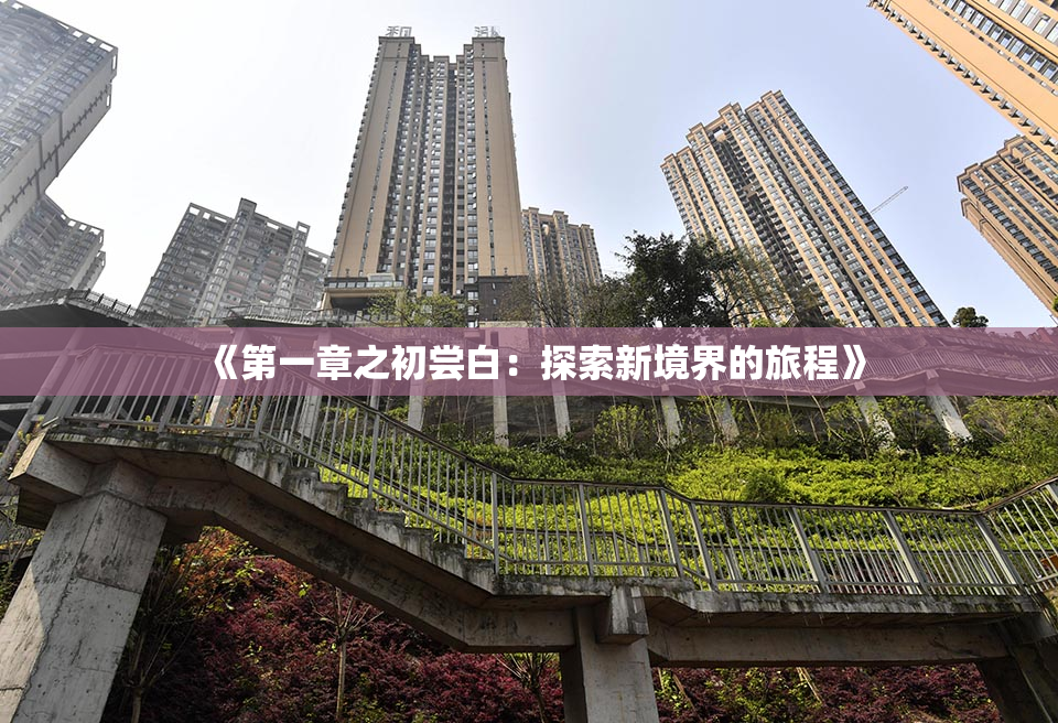 《第一章之初尝白：探索新境界的旅程》