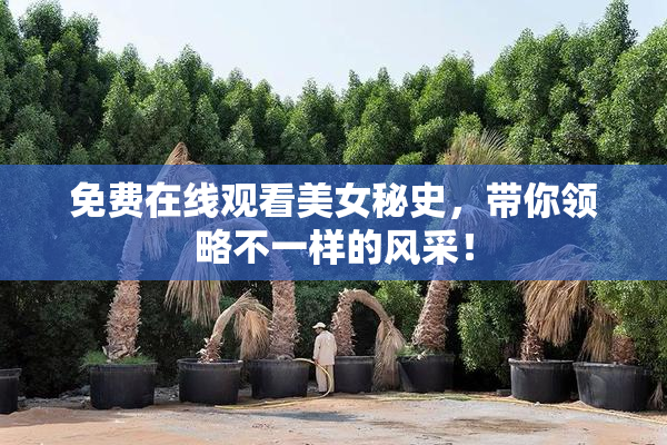 免费在线观看美女秘史，带你领略不一样的风采！