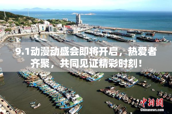 9.1动漫动盛会即将开启，热爱者齐聚，共同见证精彩时刻！
