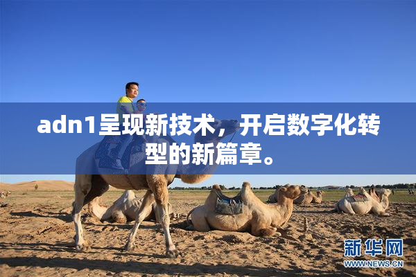 adn1呈现新技术，开启数字化转型的新篇章。