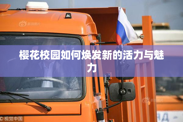 樱花校园如何焕发新的活力与魅力