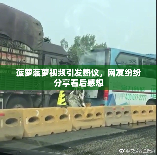 菠萝菠萝视频引发热议，网友纷纷分享看后感想