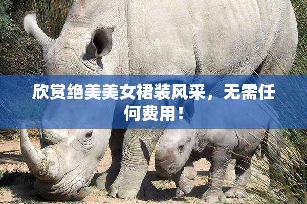 欣赏绝美美女裙装风采，无需任何费用！