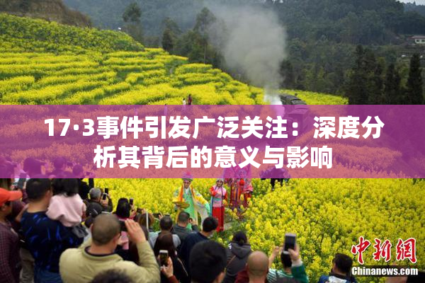 17·3事件引发广泛关注：深度分析其背后的意义与影响