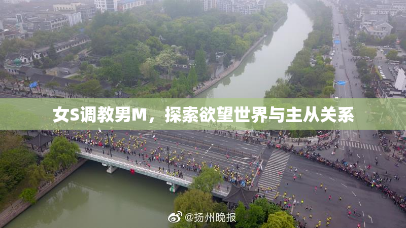 女S调教男M，探索欲望世界与主从关系