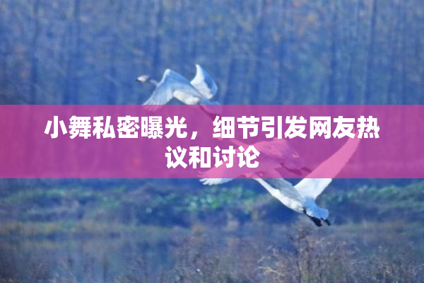 小舞私密曝光，细节引发网友热议和讨论