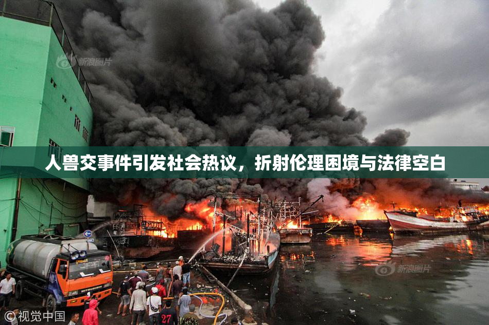 人兽交事件引发社会热议，折射伦理困境与法律空白