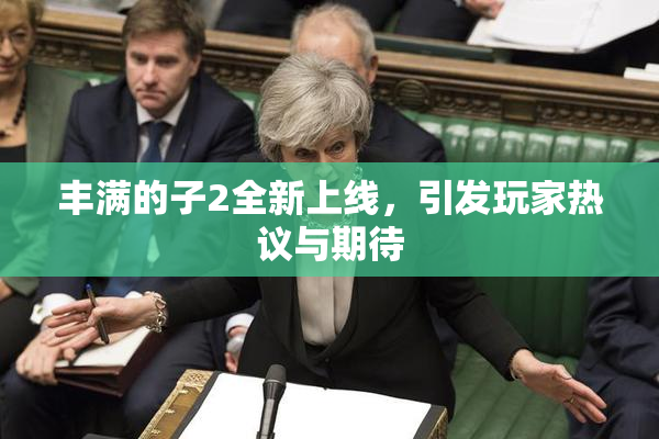 丰满的子2全新上线，引发玩家热议与期待