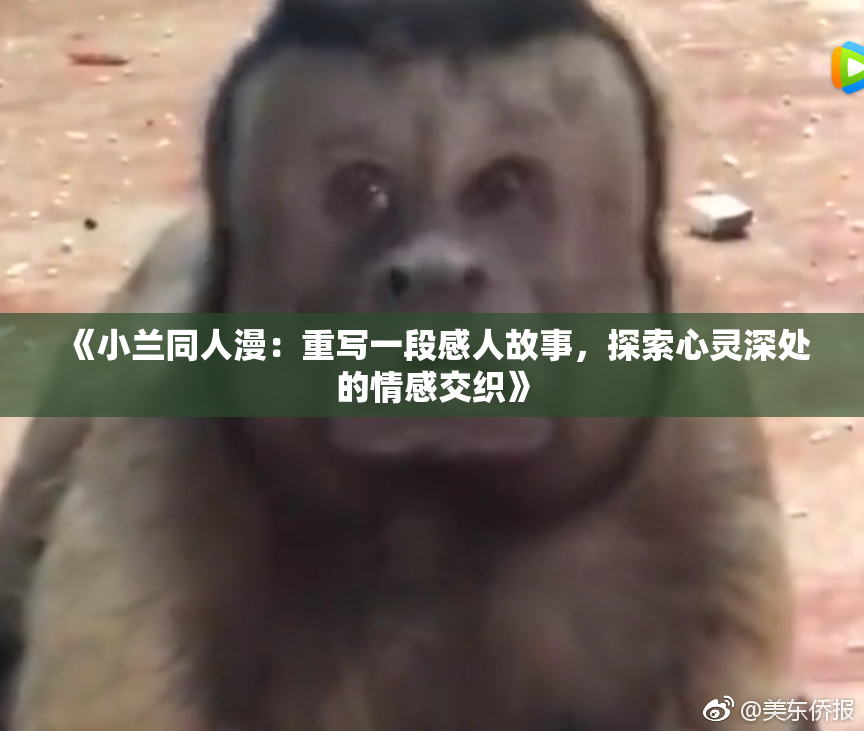 《小兰同人漫：重写一段感人故事，探索心灵深处的情感交织》