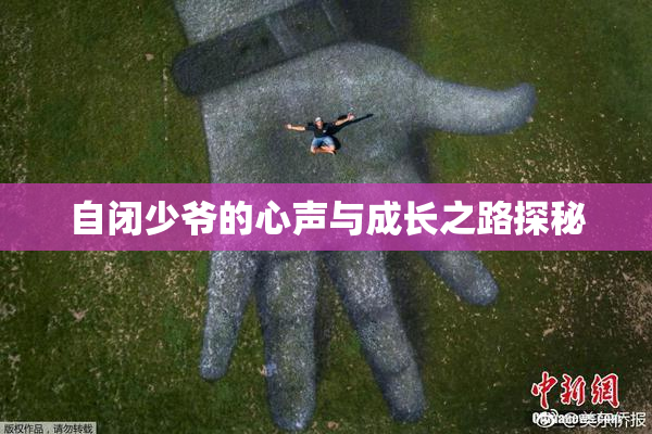 自闭少爷的心声与成长之路探秘