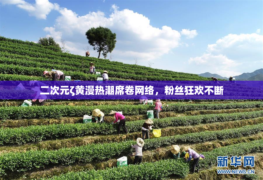 二次元ζ黄漫热潮席卷网络，粉丝狂欢不断
