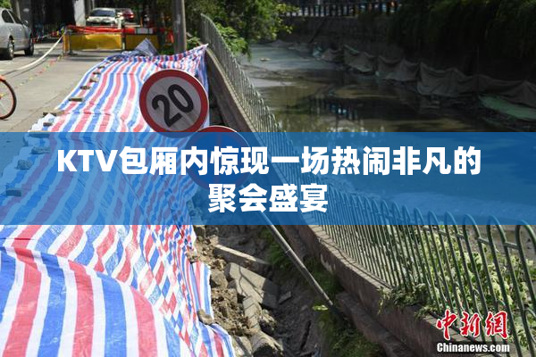 KTV包厢内惊现一场热闹非凡的聚会盛宴