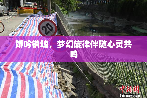 娇吟销魂，梦幻旋律伴随心灵共鸣