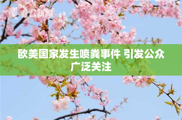 欧美国家发生喷粪事件 引发公众广泛关注