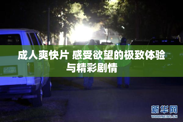 成人爽快片 感受欲望的极致体验与精彩剧情