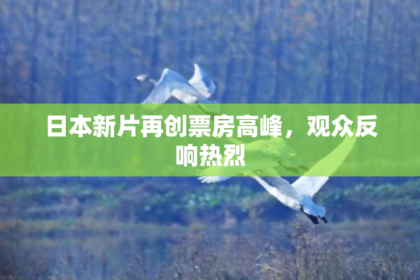 日本新片再创票房高峰，观众反响热烈
