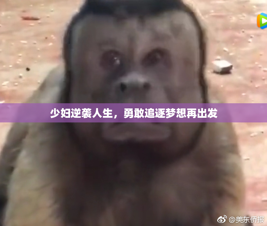 少妇逆袭人生，勇敢追逐梦想再出发