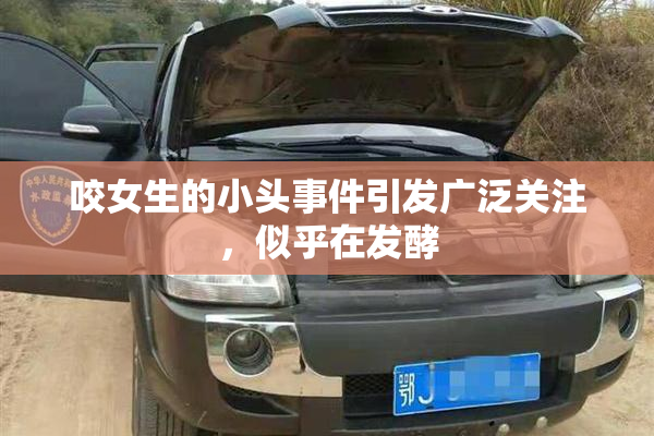 咬女生的小头事件引发广泛关注，似乎在发酵