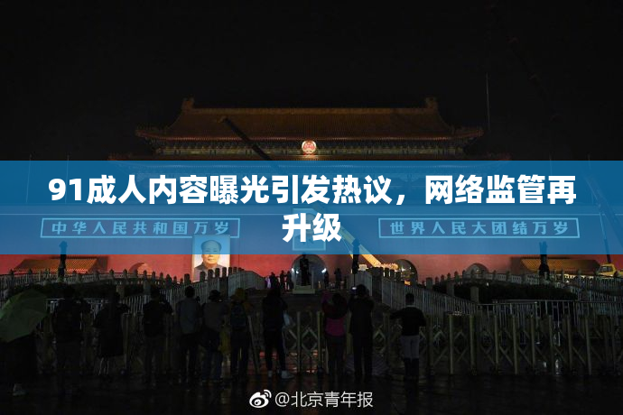 91成人内容曝光引发热议，网络监管再升级