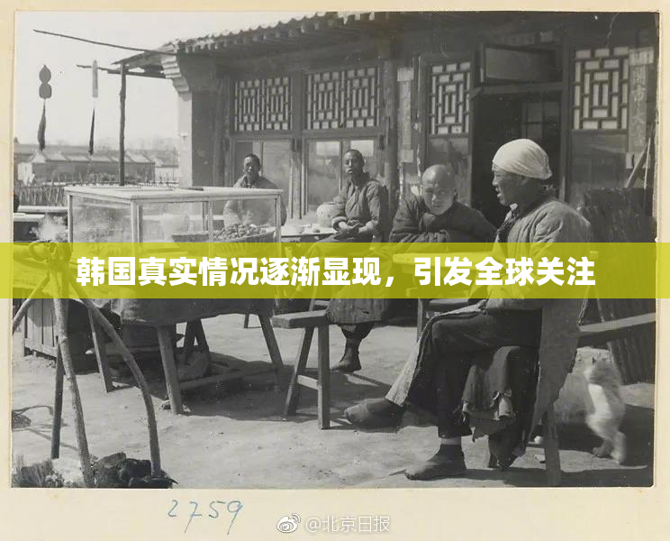 韩国真实情况逐渐显现，引发全球关注