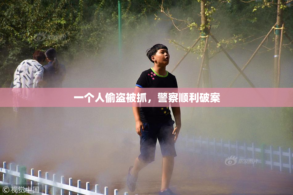 一个人偷盗被抓，警察顺利破案
