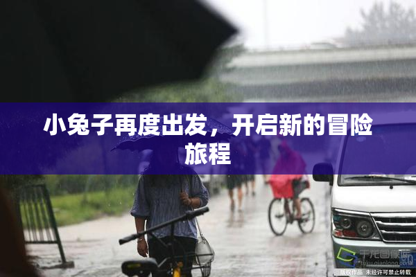 小兔子再度出发，开启新的冒险旅程