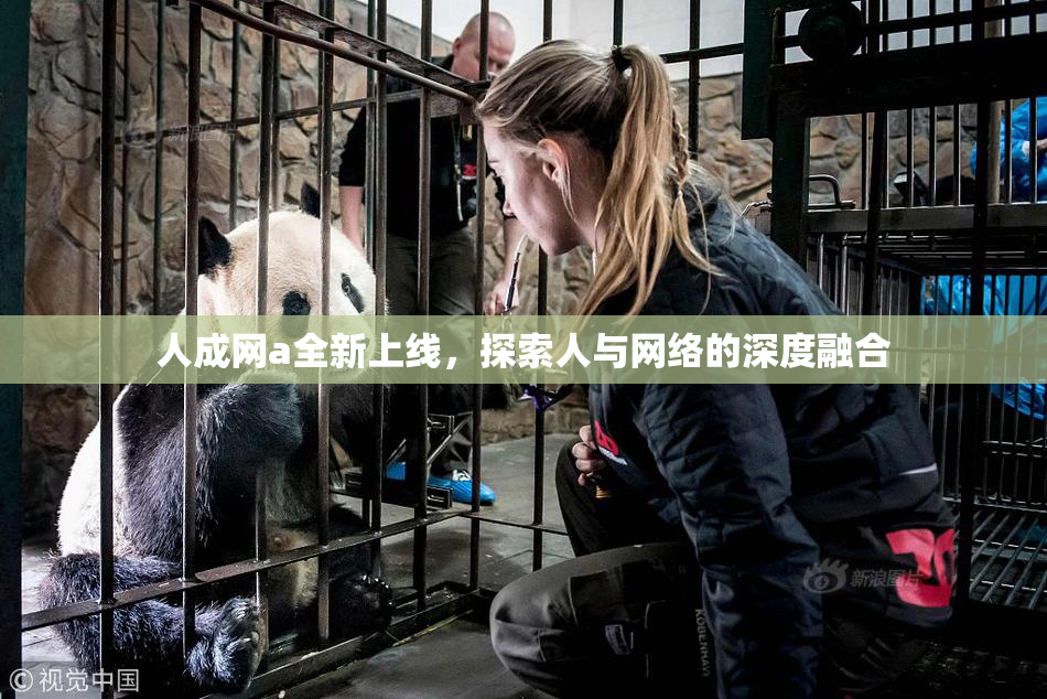 人成网a全新上线，探索人与网络的深度融合